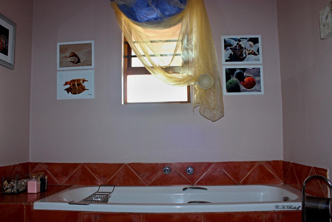 Walkerbay Accommodation Gansbaai Kültér fotó